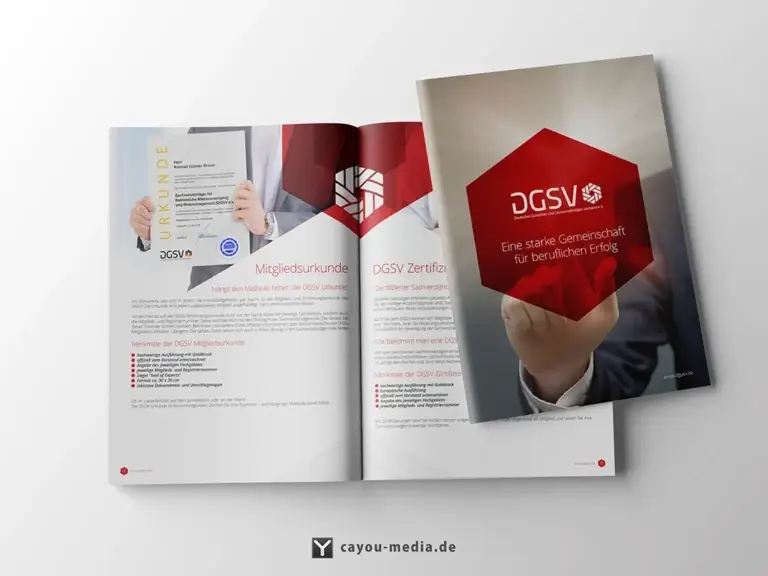 Grafikdesign - Kataloge/Broschüren - DGuSV