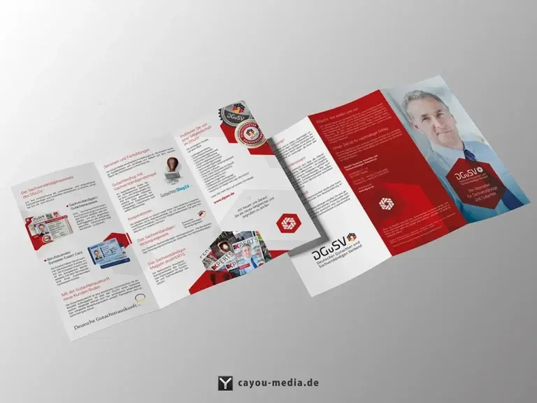 Grafikdesign - Flyer - DGuSV